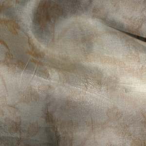 Other Silks: PRINTED SILK ORGANZA