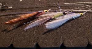 Recommended Seguno: Silvereye Jig Rig Sets