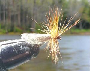 Passion Vine Hopper Custom-tied Dozen