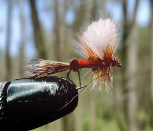 GB Royal Coachman Nymph (3)