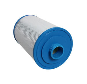 Accessories Care: Silver Spas Standard Filter (Single)