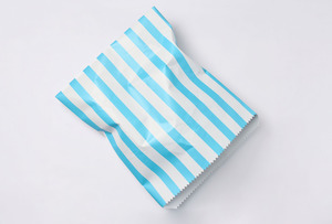 Big Spill Bag Blue Stripe