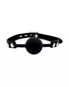 Share Satisfaction: Share Satisfaction Kinki Ball Gag with Padlock