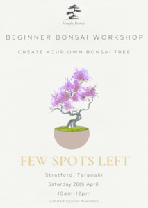 Beginner Bonsai Workshop | Saturday 26th April (Morning)