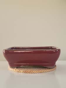 Tools: Bonsai Pot
