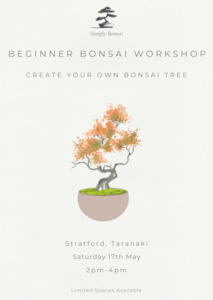 Beginner Bonsai Workshop | Saturday 17th May (Afternoon)