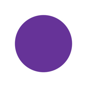 Acrylic Blanks: 60mm Circle (Craft Blank)