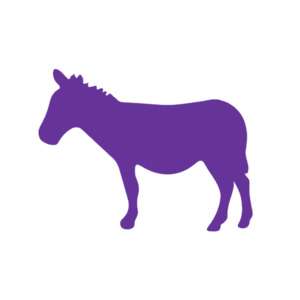 Farmyard Animals: Donkey (Craft Blank)