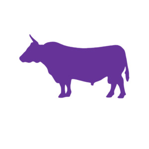 Farmyard Animals: Cow (Craft Blank)
