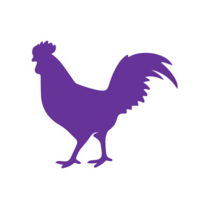 Rooster (Craft Blank)