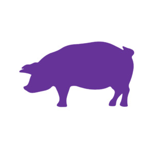 Pig (Craft Blank)