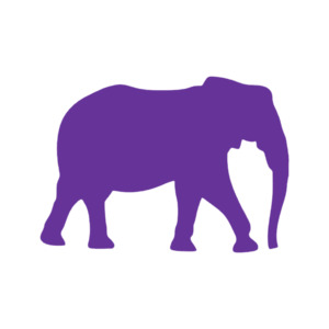 Safari Animals: Elephant 3 (Craft Blank)