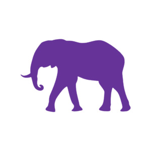 Elephant 2 (Craft Blank)