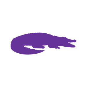 Crocodile (Craft Blank)