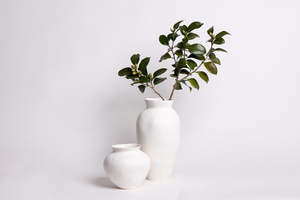 Vases: The Venus Vases