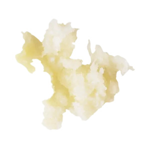 Robot Coupe Horseradish Grater 1.3mm