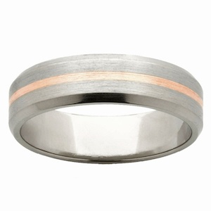 Products: Titanium Rings for Men : Gold inlaid