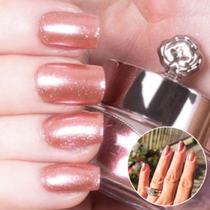 Colour Selection Limit: Blush - Metallic Nail Powder