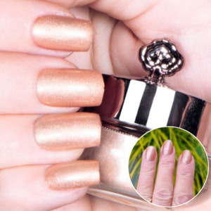 Nail Powders: Caramel - Classic Nail Powder