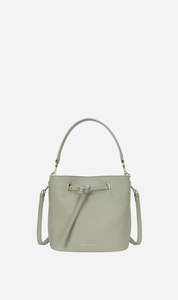 Deadly Ponies | Mr Penny - Kina