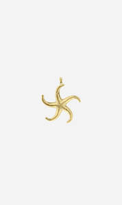 Full Price 3: Zoe & Morgan | Starfish Charm - Gold