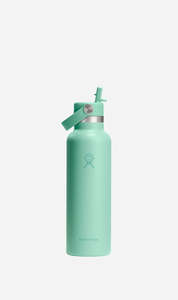 Hydro Flask | 21 Oz Standard Flex Straw Cap - Mermaid Green