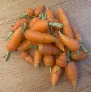 Root Vegetables: Carrots -  snack pack 300gm
