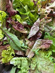 Leafy Greens: Lettuce Salad Mix 130g
