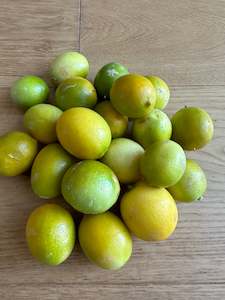 Citrus: Limequat 500gm