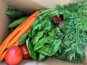 Other: Veggie Box