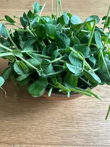 Pea shoot microgreens 75gm