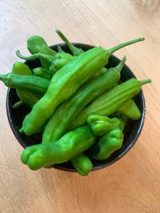 Other: Shishito pepper - 90gm