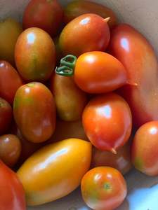 Tomato - 250gm