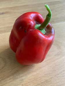 Other: Capsicum - red