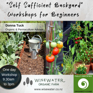 Workshops Training 2: Workshop | Self Sufficient Backyard | Organic Gardening for Beginners