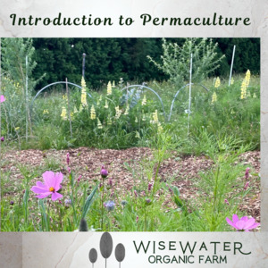 Workshops Training 2: Tour | Introduction to Permaculture | Thurs 9th March |Sustainable Backyards