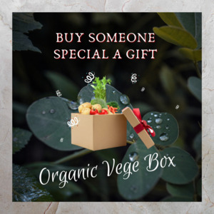 Veggie Boxes: The Gift of a Box | Small & Large