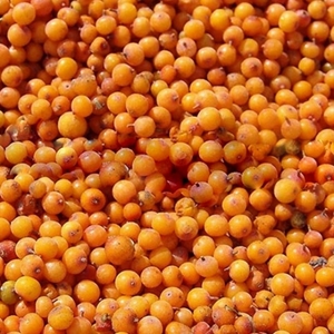 Berries Frozen Sea-Buckthorn AmbeRye 300g - PICK UP ONLY FROM AUCKLAND SKAZKA ST&hellip;
