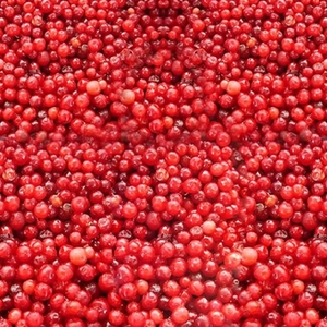 Berries Frozen Lingonberries AmbeRye 300g. PICK UP ONLY FROM AUCKLAND SKAZKA STO&hellip;