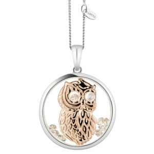 Astra Jewellery: Astra Wise Owl P4699-ROCZ