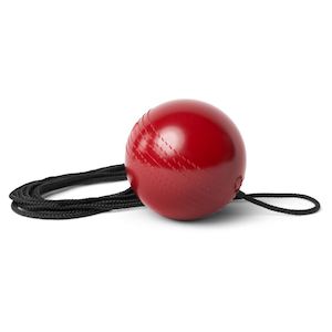 Cricket: Cricket Batting Master Trainer