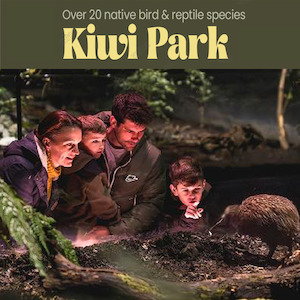 Frontpage: Kiwi Park