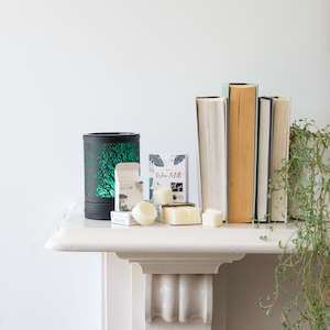 Soy Wax Melt Collection: Breathe Easy Wax Melts