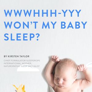 Products: Why Won’t My Baby Sleep E-Book