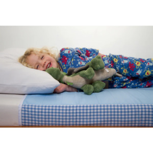 Toilet Training: Brolly Sheets - Original Brolly Sheets with Wings