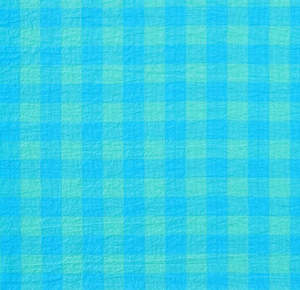 Fabric: Fabric: Aquarius Gingham Cotton