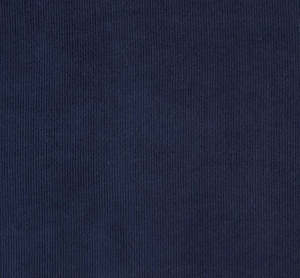 Fabric: Midnight Corduroy
