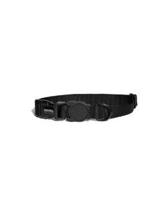 Zee Dog: Zee.Dog | Collar Gotham