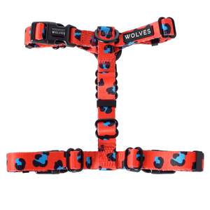 Sale: Wolves of Wellington | Cleo All Purpose Harness 2.0 LAST CHANCE