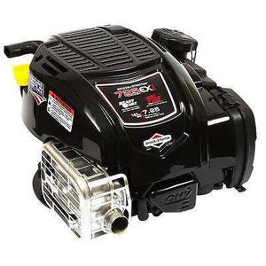 Ryans Deals: Briggs & Stratton 725Exi Series™ (25Mm)